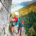 L'escalade, un sport aux multiples facettes