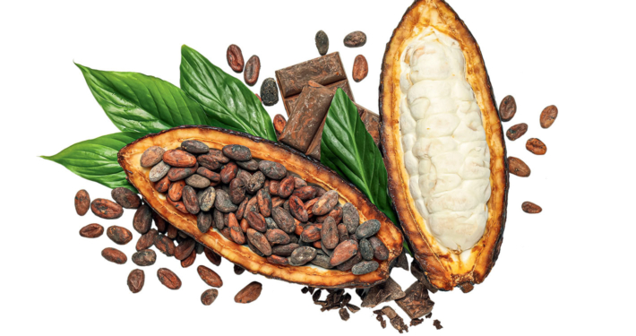 Le chocolat dans tous ses états