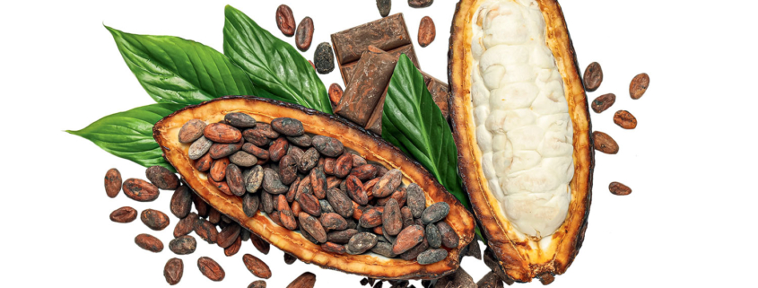 Le chocolat dans tous ses états